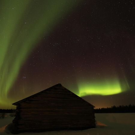 Lapland Northern Lights Hotel Ilveslinna Ranua Εξωτερικό φωτογραφία