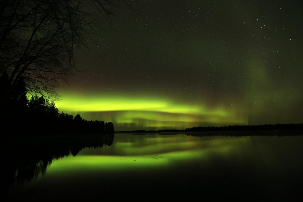 Lapland Northern Lights Hotel Ilveslinna Ranua Εξωτερικό φωτογραφία