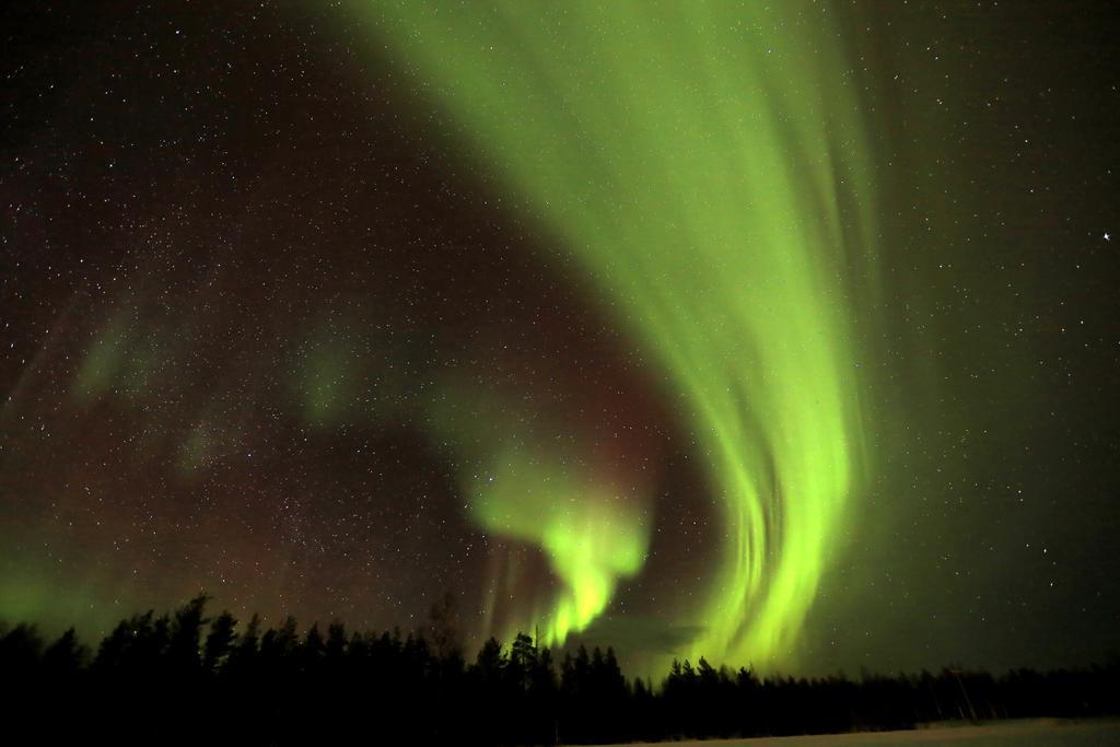 Lapland Northern Lights Hotel Ilveslinna Ranua Εξωτερικό φωτογραφία