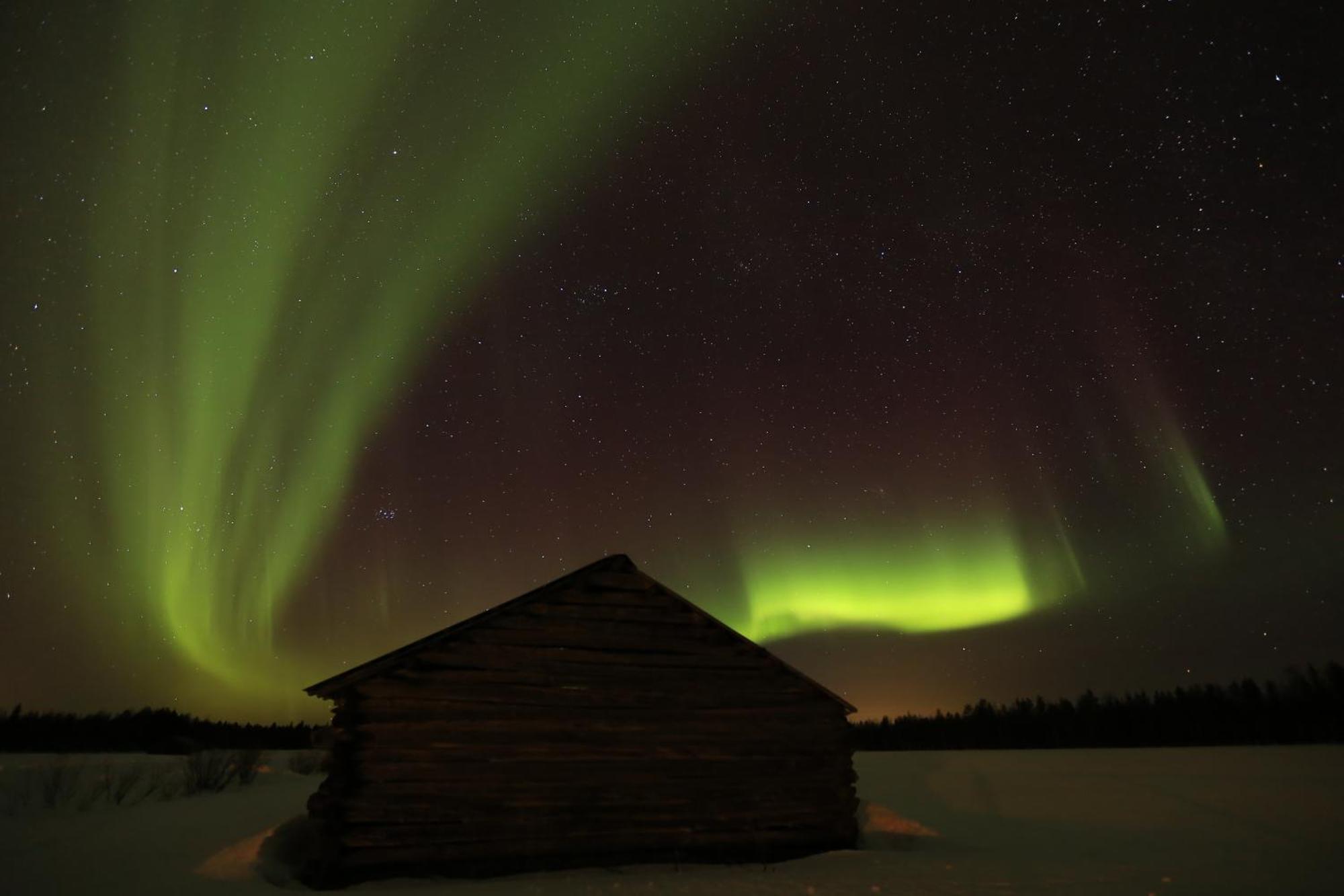 Lapland Northern Lights Hotel Ilveslinna Ranua Εξωτερικό φωτογραφία