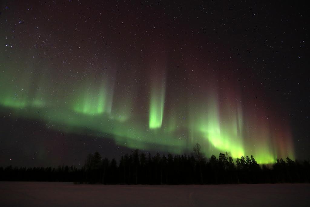 Lapland Northern Lights Hotel Ilveslinna Ranua Εξωτερικό φωτογραφία