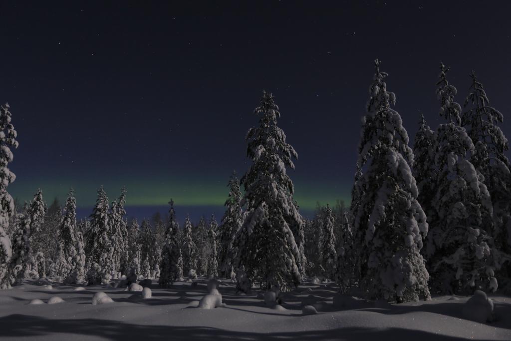 Lapland Northern Lights Hotel Ilveslinna Ranua Εξωτερικό φωτογραφία