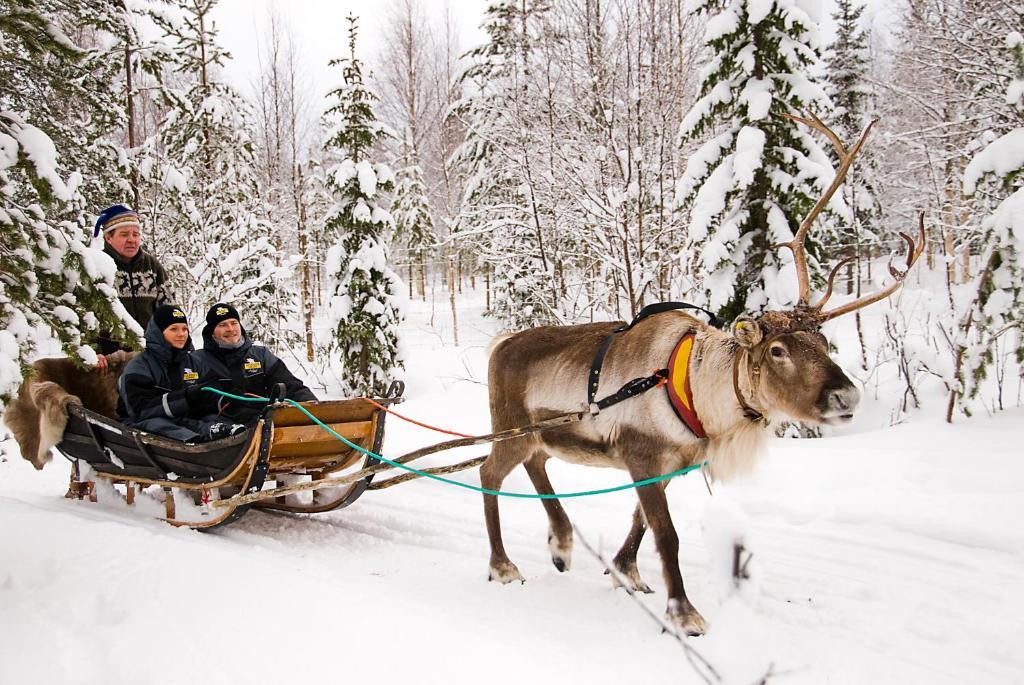 Lapland Northern Lights Hotel Ilveslinna Ranua Εξωτερικό φωτογραφία