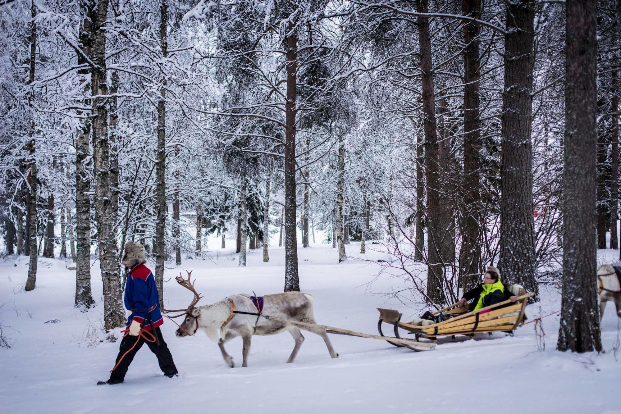 Lapland Northern Lights Hotel Ilveslinna Ranua Εξωτερικό φωτογραφία