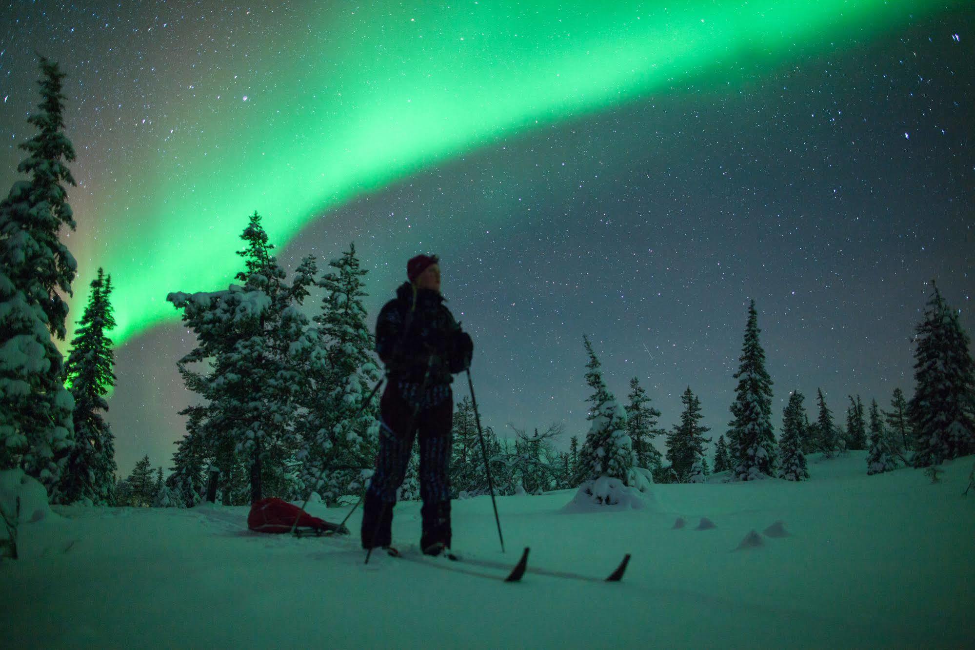 Lapland Northern Lights Hotel Ilveslinna Ranua Εξωτερικό φωτογραφία